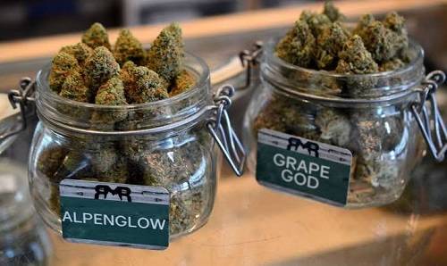 the Aspen’s newest high-end Cannabis dispensary