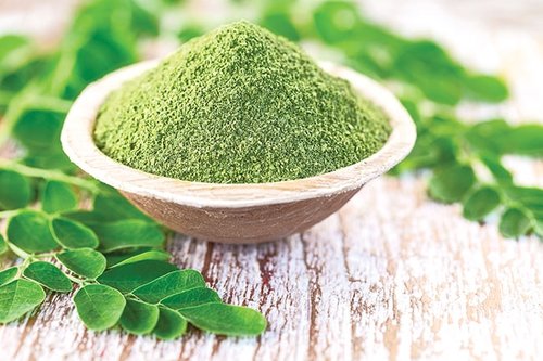 What is Moringa Oleifera? Benefits, Side-Effects, and Dosage