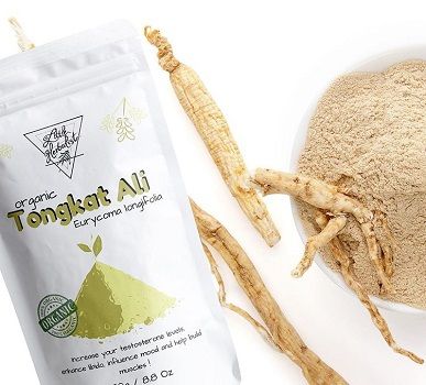 Buy Tongkat Ali Root Extracts