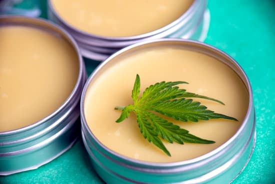 CBD Salves For Dogs Cats