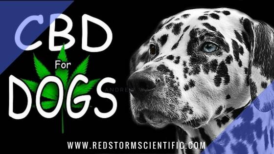 CBD oil for dogs dosage