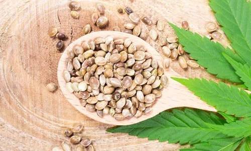 Crop King Seeds review