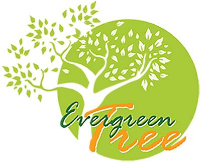 Evergreen Tree
