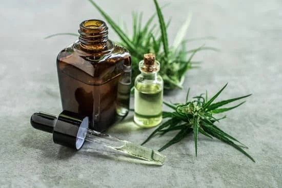 Hemp CBD Products For Pets