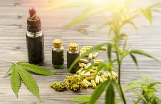 2020 Wholesale CBD Oil Buying Guide