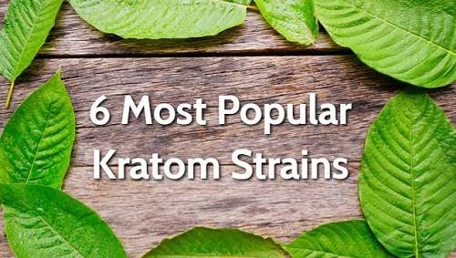 4 Enhanced Kratom Strains Why These Are Special