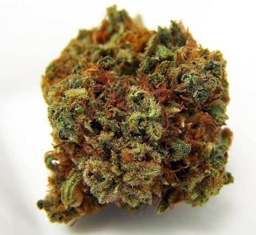 What Is A Harlequin Cannabis Strains