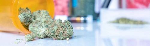 CBN And What Are The Cannabinol Effects