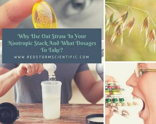 Use Oat Straw In Your Nootropic Stack