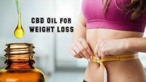 how to use cbd oil for weight loss