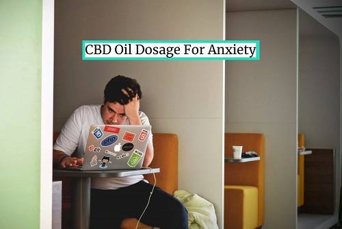cbd oil dosage for anxiety