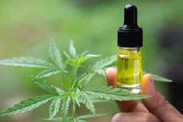 Cbd Oil Supplements For Anxiety