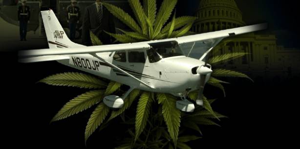 Edibles on Plane