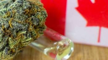 edibles marijuana legalization globalnews