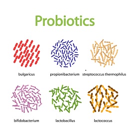 Probiotics Immune Boosting Supplements