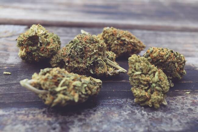 Weed Strains