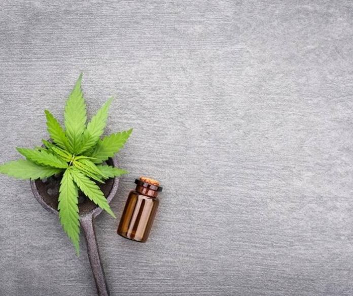 Does CBD Work Better on an Empty Stomach or Full? Redstorm Scientific