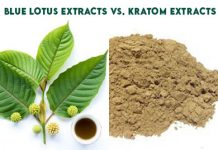Blue Lotus Extracts Vs. Kratom Extracts