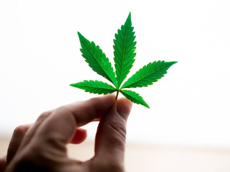 Trying Cannabis For The First Time