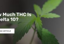 How Much THC Is In Delta 10? How Much THC Is In Delta