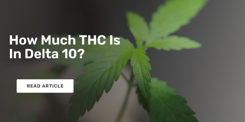 How Much THC Is In Delta