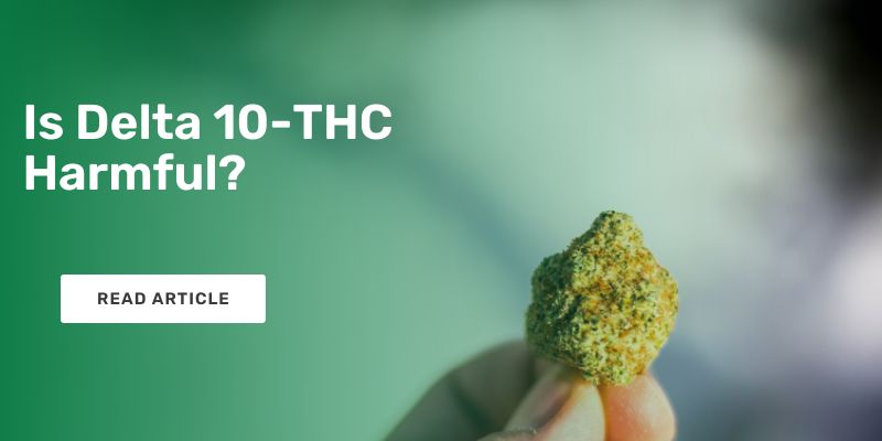 Is Delta 10-THC Harmful?
