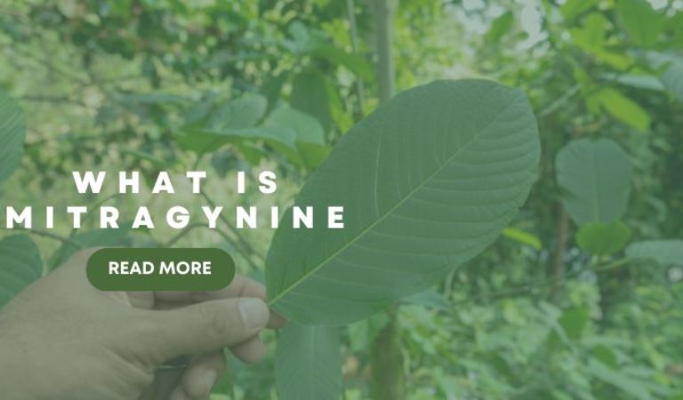 Mitragynine