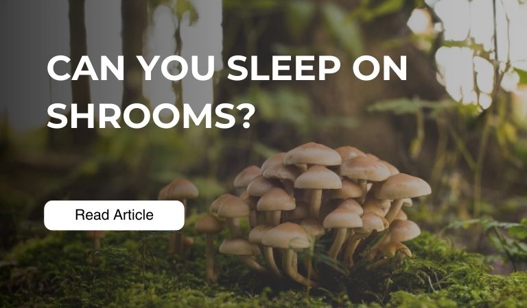 Can You Sleep on Shrooms