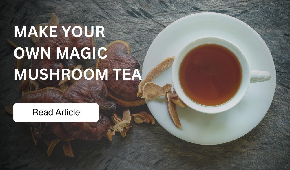 Make Your Own Magic Mushroom Tea