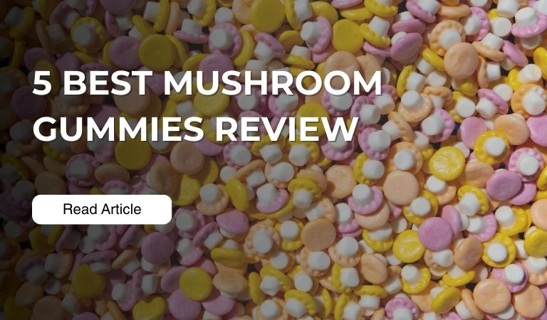 Mushroom Gummies